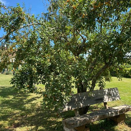 Les Feuilles Jaunes Chantenay-Saint-Imbert Екстериор снимка