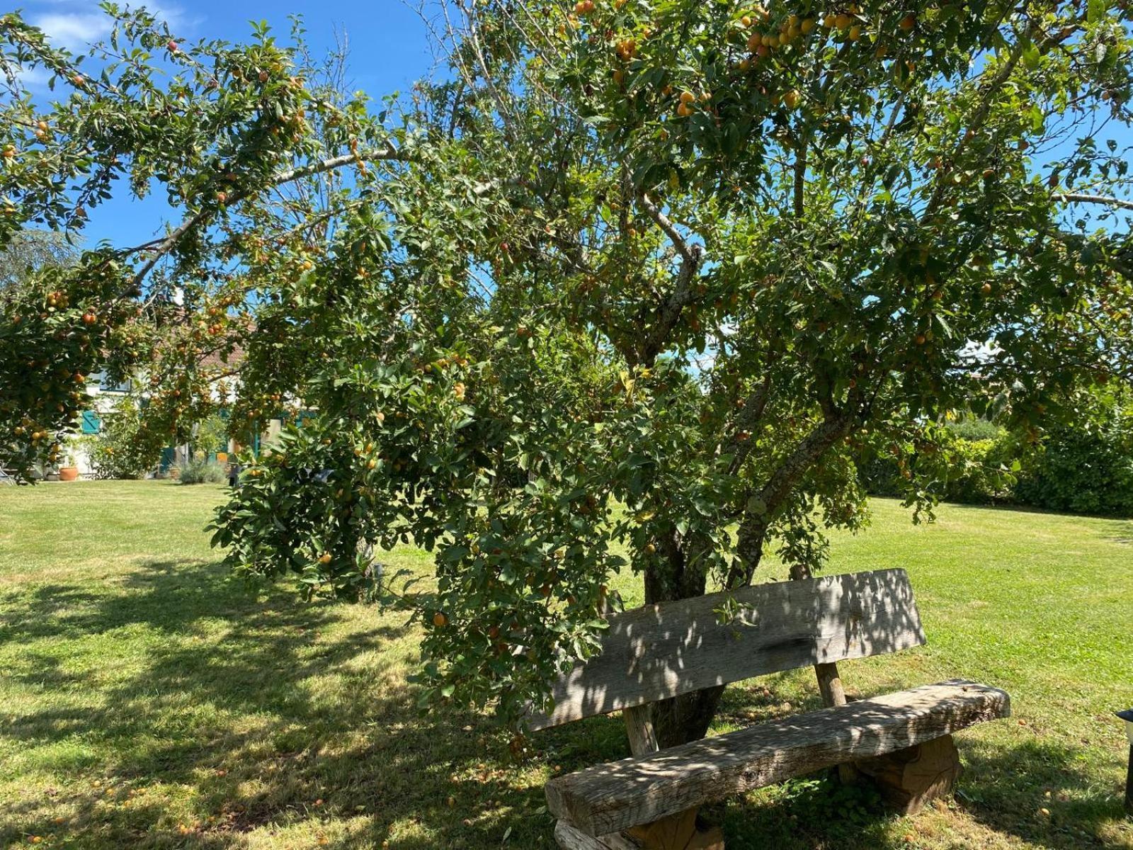 Les Feuilles Jaunes Chantenay-Saint-Imbert Екстериор снимка